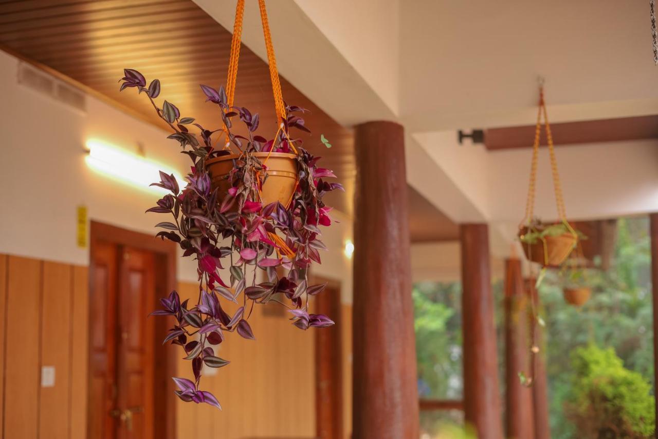 Kaniyāmbetta Swastha Plantation Homestay المظهر الخارجي الصورة