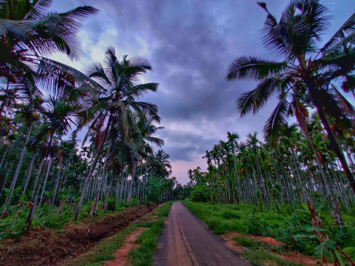 Kaniyāmbetta Swastha Plantation Homestay المظهر الخارجي الصورة