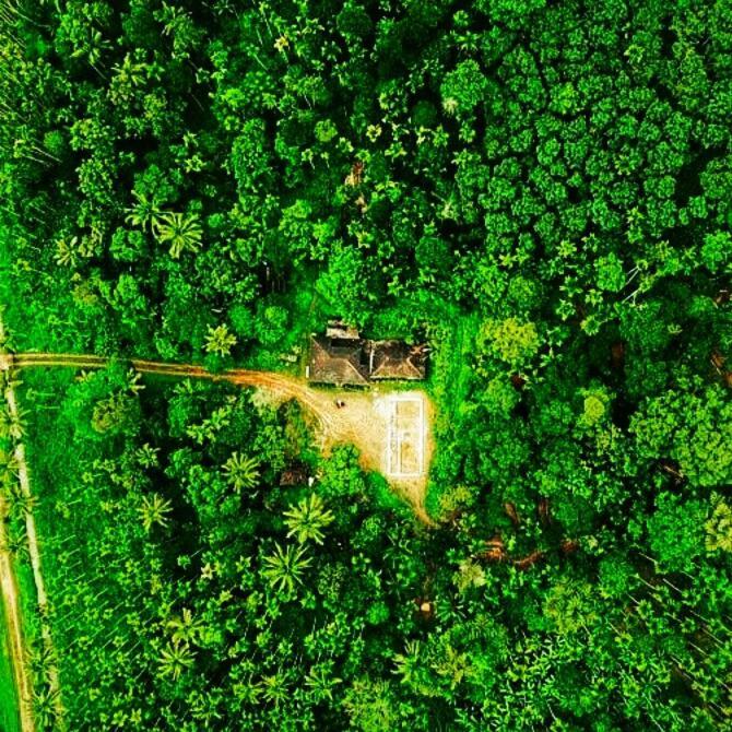 Kaniyāmbetta Swastha Plantation Homestay المظهر الخارجي الصورة