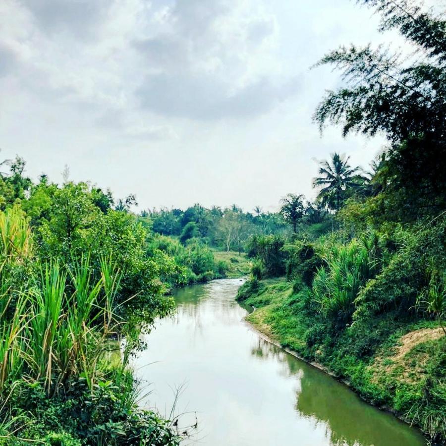 Kaniyāmbetta Swastha Plantation Homestay المظهر الخارجي الصورة